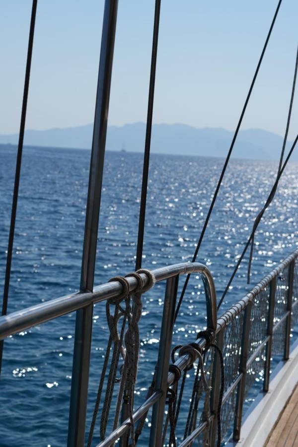 653a99ad-5666-4017-8415-64cacf18de8c